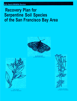 Recovery Plan for Serpentine Soil Species of the San Francisco Bay Area