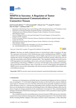 MMP14 in Sarcoma: a Regulator of Tumor Microenvironment Communication in Connective Tissues