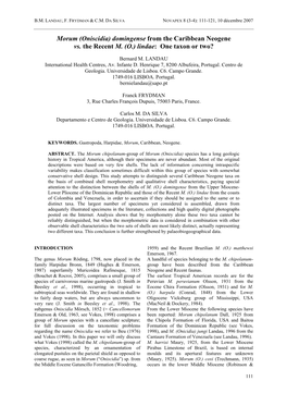 Morum (Oniscidia) Domingense from the Caribbean Neogene Vs. the Recent M