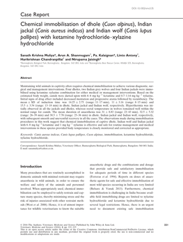 And Indian Wolf (Canis Lupus Pallipes) with Ketamine Hydrochloride–Xylazine Hydrochloride