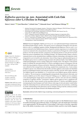 Raffaelea Quercina Sp. Nov. Associated with Cork Oak (Quercus Suber L.) Decline in Portugal