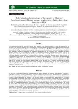 Determination of Minimal Age of Five Species of Chusquea Bamboos