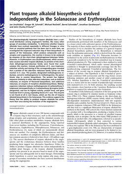 Plant Tropane Alkaloid Biosynthesis Evolved Independently in the Solanaceae and Erythroxylaceae