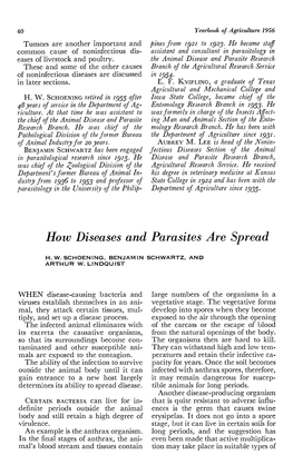 How Diseases and Parasites Are Spread