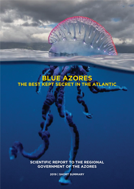 Blue Azores the Best Kept Secret in the Atlantic
