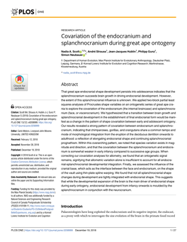 Covariation of the Endocranium and Splanchnocranium During Great Ape Ontogeny