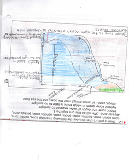 Ifi 12. Draw a Picture That Includes the Following Intertldal Zone, Neritic