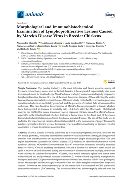 Morphological and Immunohistochemical Examination of Lymphoproliferative Lesions Caused by Marek’S Disease Virus in Breeder Chickens