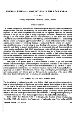 Unusual External Adaptations in the Rock Hyrax