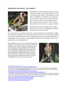 The Goldfinch