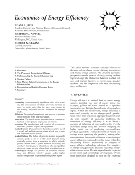 Economics of Energy Efficiency