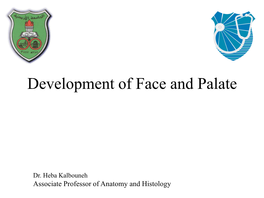 Development of Face and Palate