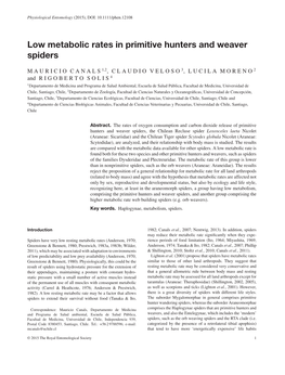 Low Metabolic Rates in Primitive Hunters and Weaver Spiders