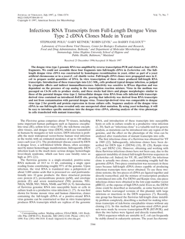 Infectious RNA Transcripts from Full-Length Dengue Virus Type 2 Cdna Clones Made in Yeast