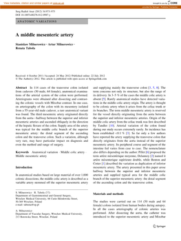 A Middle Mesenteric Artery