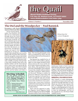 The Owl and the Woodpecker • Paul Bannick