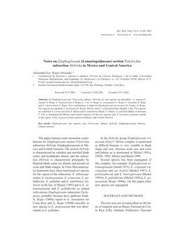 Notes on Elaphoglossum (Lomariopsidaceae) Section Polytrichia Subsection Hybrida in Mexico and Central America