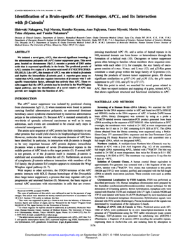 Identification of a Brain-Specific APC Homologue, APCL, and Its Interaction with /3-Catenin1