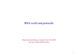 RNA World and Protocells