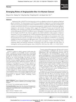 Emerging Roles of Angiopoietin-Like 4 in Human Cancer