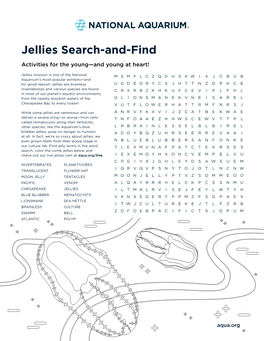 Jellies Search-And-Find Activities for the Young—And Young at Heart!