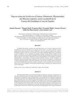 Nuevos Restos De Scaldicetus (Cetacea, Odontoceti, Physeteridae) Del Mioceno Superior, Sector Occidental De La Cuenca Del Guadalquivir (Sur De España)