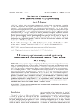 The Function of the Dewclaw in the Scandinavian Red Fox (Vulpes Vulpes) О Функции Первого Пальца Перед