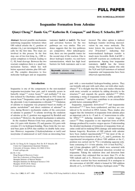 Isoguanine Formation from Adenine