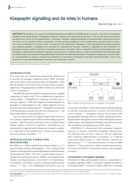 Kisspeptin Signalling and Its Roles in Humans