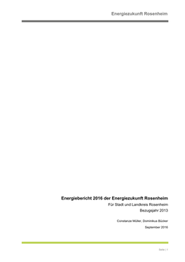 Energiebericht 2016 Der Energiezukunft Rosenheim Für Stadt Und Landkreis Rosenheim Bezugsjahr 2013