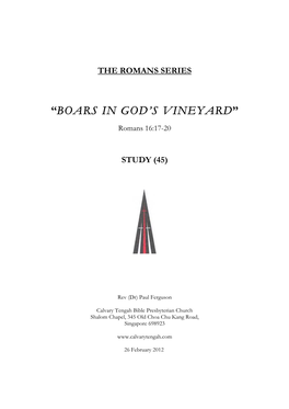 “Boars in God's Vineyard”