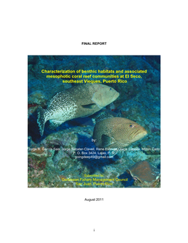 Characterization of Benthic Habitats and Associated Mesophotic Coral Reef Communities at El Seco, Southeast Vieques, Puerto Rico
