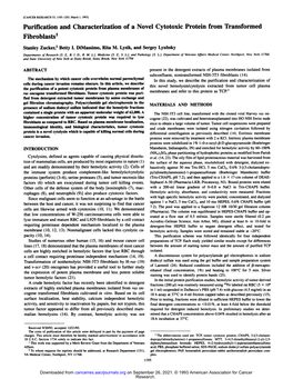 Purification and Characterization of a Novel Cytotoxic Protein from Transformed Fibroblasts1