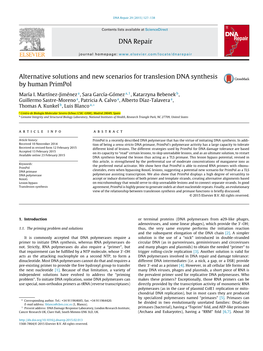 Alternative Solutions and New Scenarios for Translesion DNA Synthesis by Human Primpol