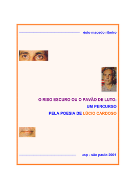Um Percurso Pela Poesia De Lúcio Cardoso