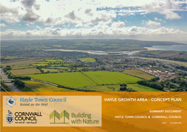 Hayle Growth Area Concept Plan: 2020” Which Provides the Main Technical Content That Supports This Document
