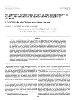 AN ELECTRON MICROSCOPIC STUDY of the DEVELOPMENT of AXONS and DENDRITES by HIPPOCAMPAL NEURONS in CULTURE I. Cells Which Develop