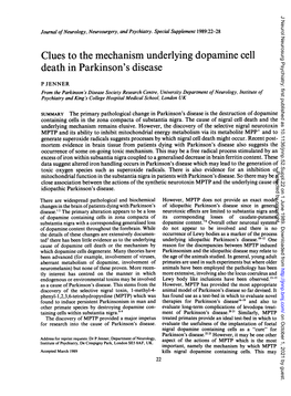 Clues to the Mechanism Underlying Dopamine Cell Death in Parkinson's Disease