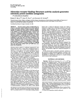 Adenosine Receptor Binding: Structureactivity Analysis Generates Extremely Potent Xanthine Antagonists (N6-Cyclohexyladenosine/Theophylline) ROBERT F