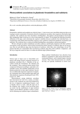 Photosymbiotic Associations in Planktonic Foraminifera and Radiolaria