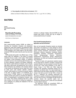 Bacterias.Pdf