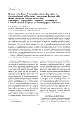 Apicomplexa: Eugregarinida: Hirmocystidae) and Leidyana Haasi N