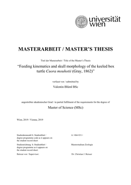 Masterarbeit / Master's Thesis