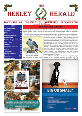 December 2018 12 Pages.Cdr