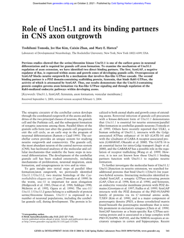 Role of Unc51.1 and Its Binding Partners in CNS Axon Outgrowth