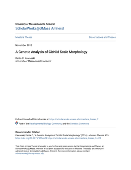 A Genetic Analysis of Cichlid Scale Morphology