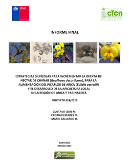 Informe Final