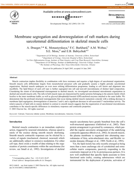 Membrane Segregation and Downregulation of Raft Markers During Sarcolemmal Differentiation in Skeletal Muscle Cells