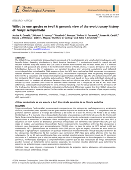 A Genomic View of the Evolutionary History of Tringa Semipalmata