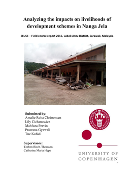 Analyzing the Impacts on Livelihoods of Development Schemes in Nanga Jela